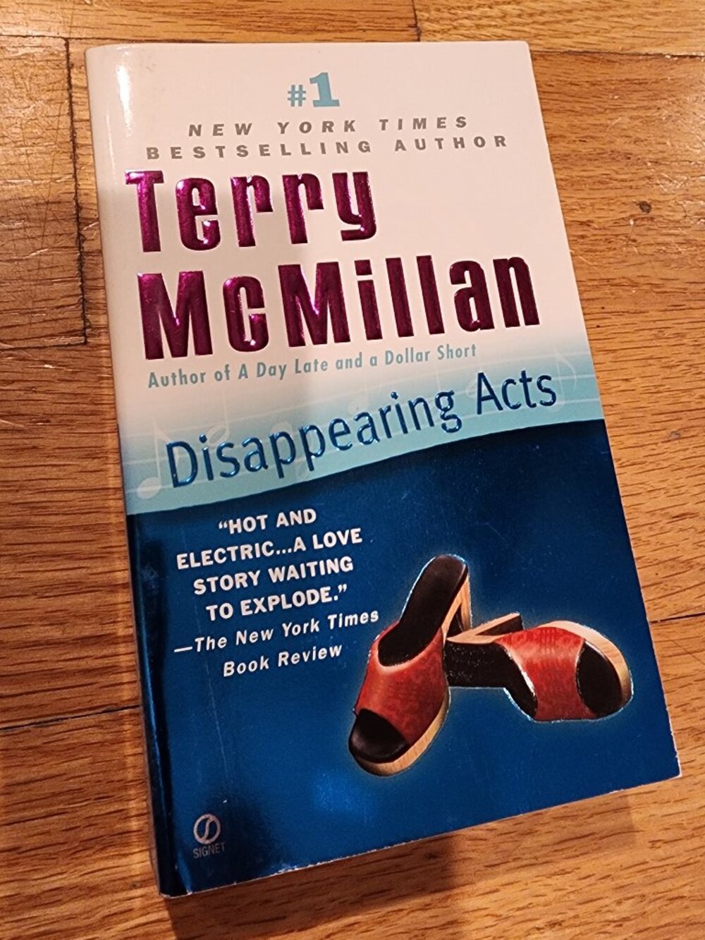 Terry McMillan Disapeering Acts Paperback Novel Fiction Book